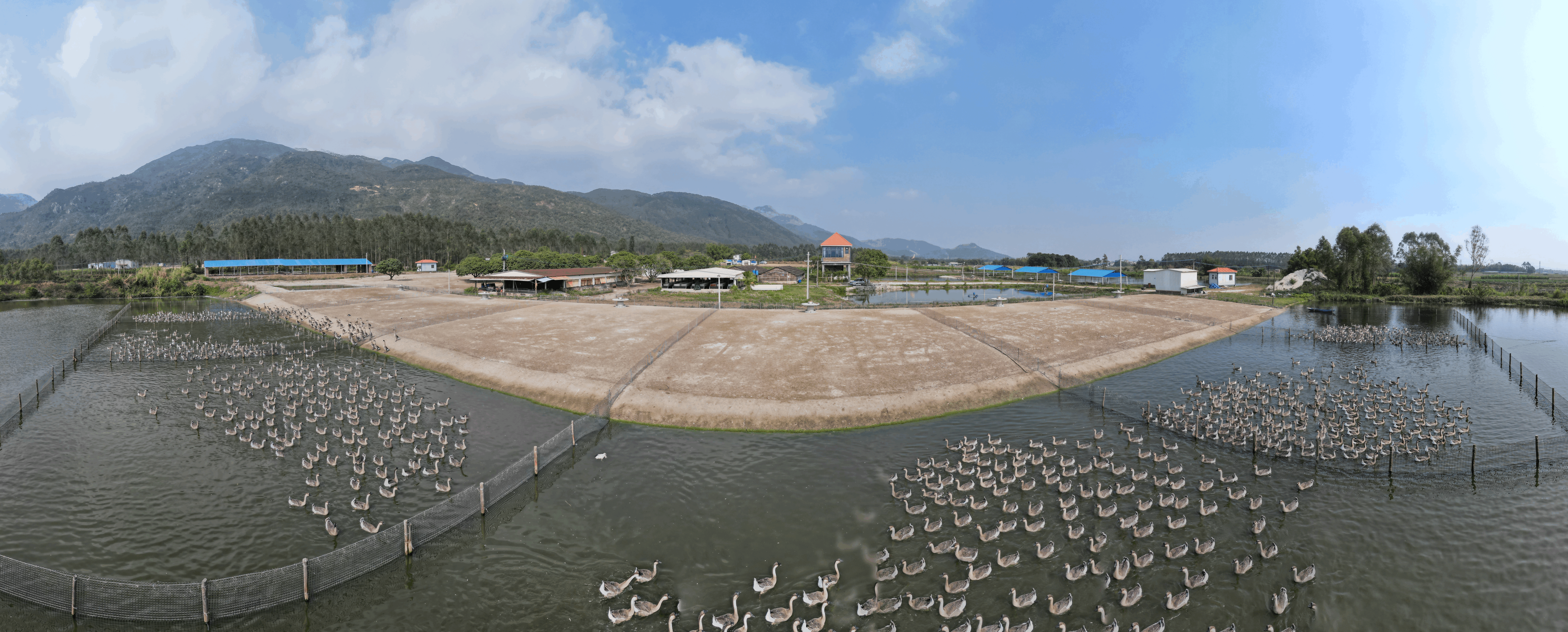 ��������3044����