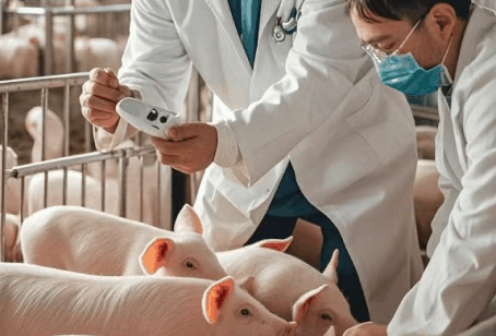 �й���3044��������(�ɷ�)���޹�˾-�ٷ���վ