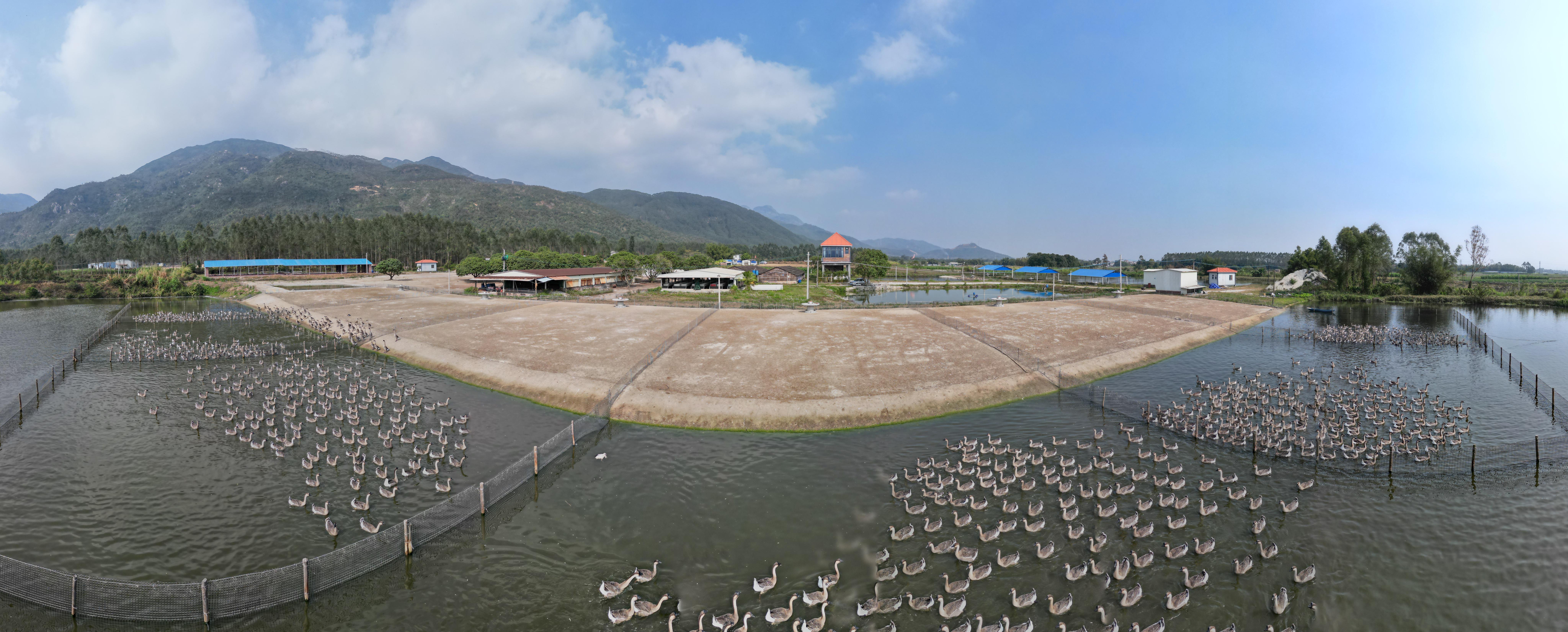 ����Ԥ���� רҵ��������