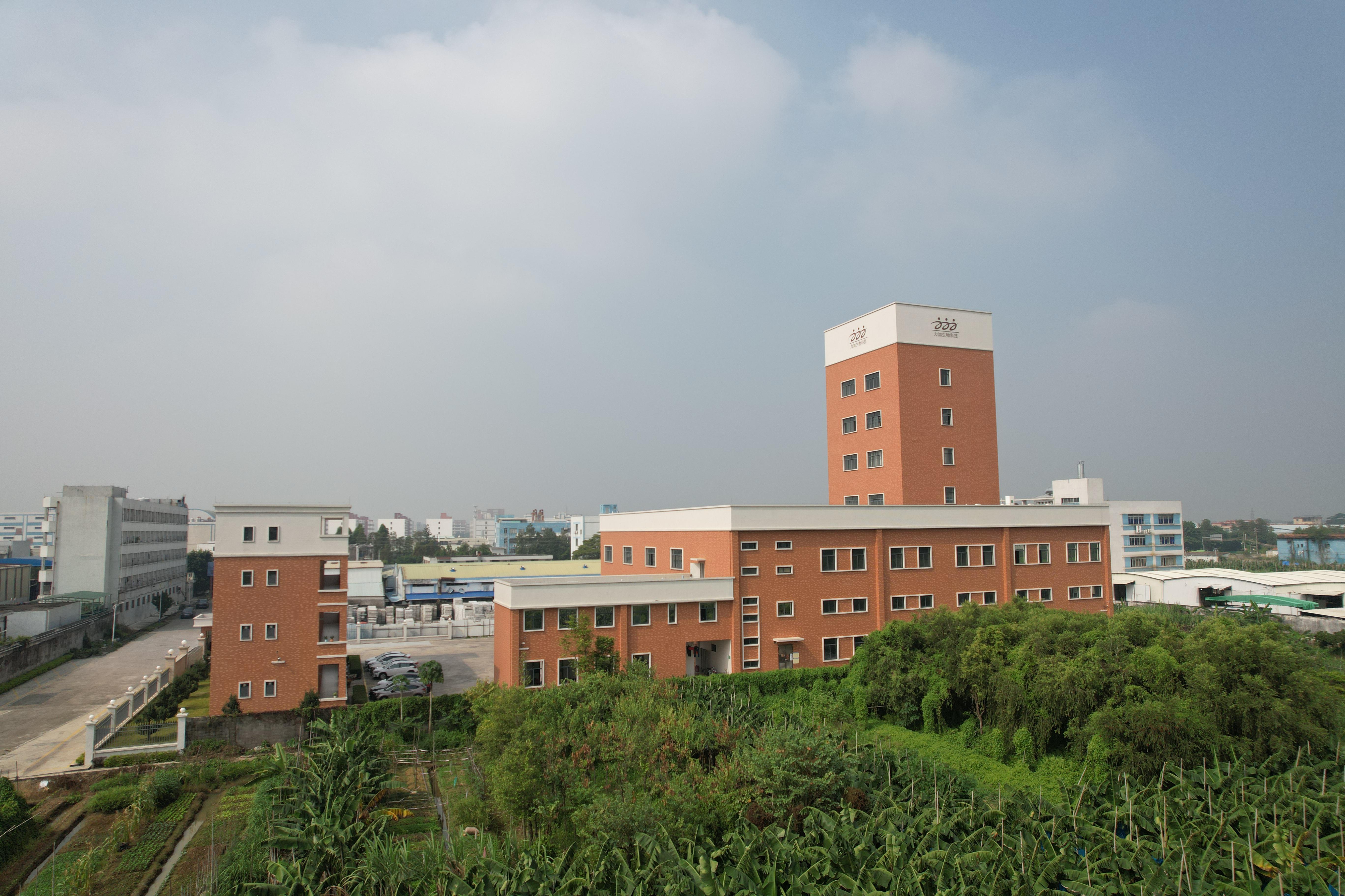 25������Ƭ