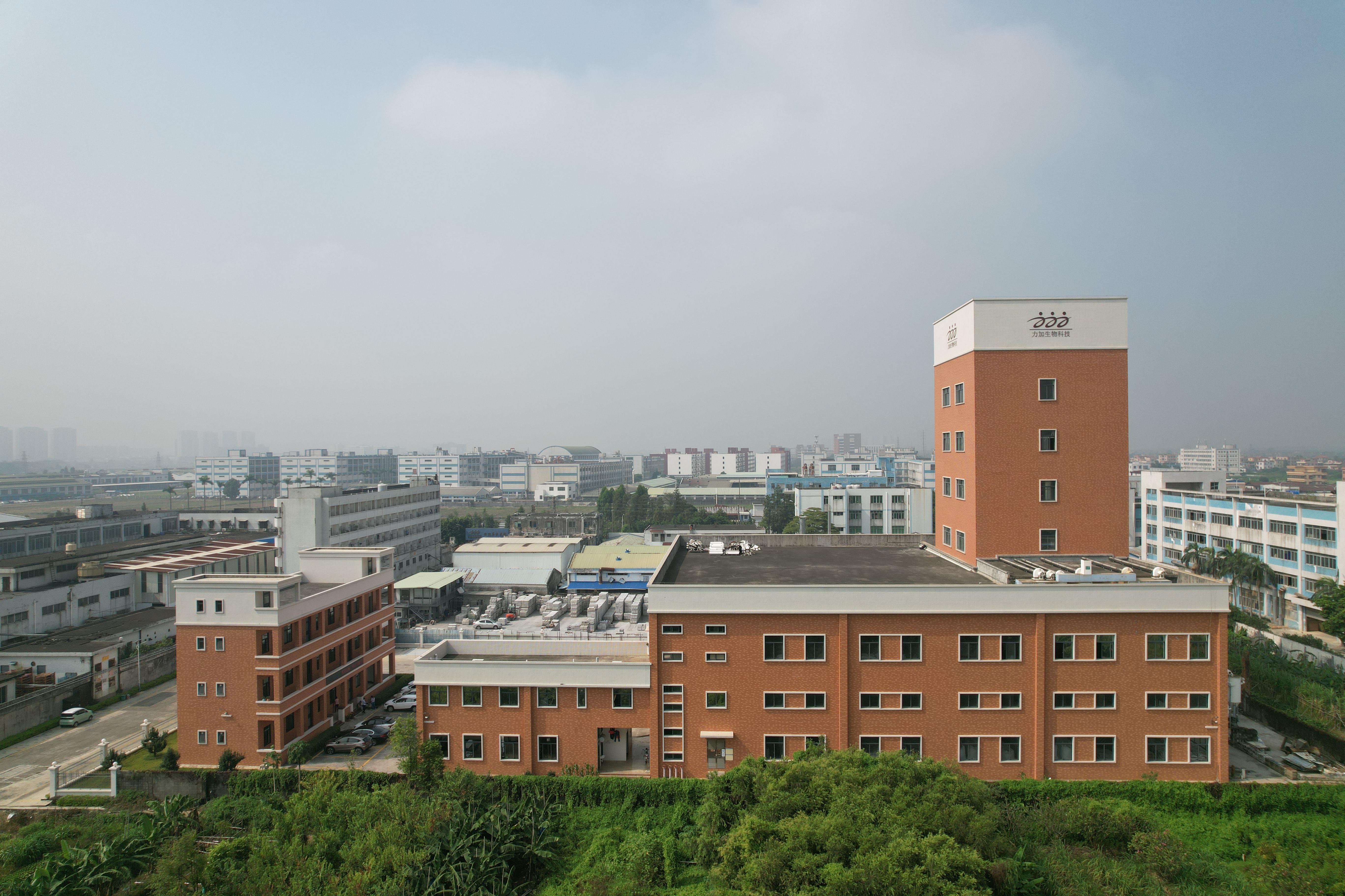 ý������